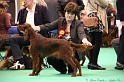 Crufts2011 880